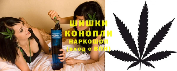 крисы Абаза
