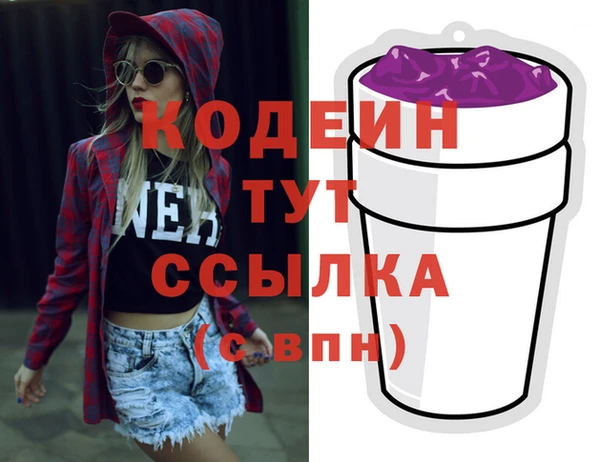 крисы Абаза