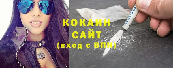 крисы Абаза