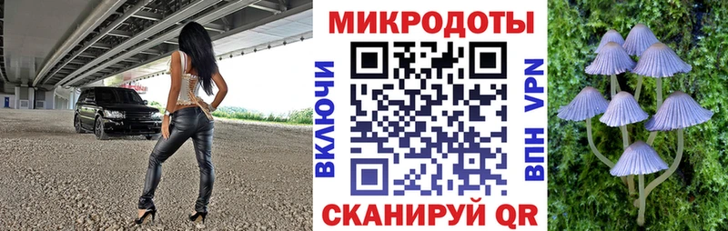 Галлюциногенные грибы Magic Shrooms  купить наркотики цена  Кашира 