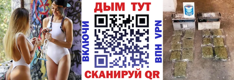 Канабис сатива  как найти наркотики  Кашира 